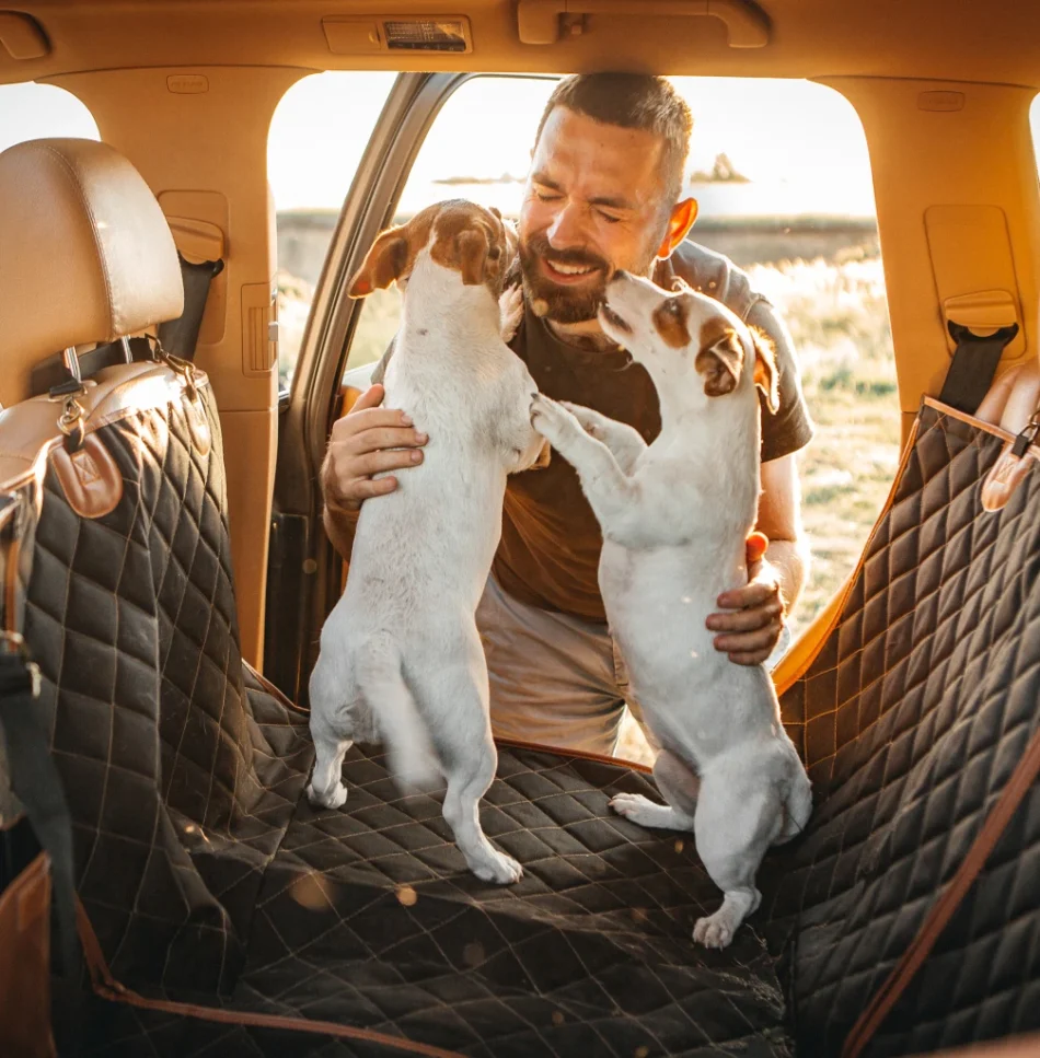 man with two happy small dogs